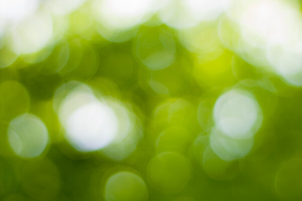 абстрактный круговой зеленый фон боке.