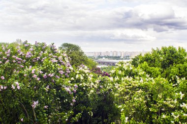 kiev şehir panoraması. Ukrayna. Manastır vydubitsky, sol banka, Dinyeper Nehri ve şehrin modern görünümü. Kiev.