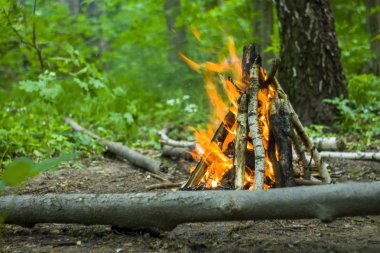 şenlik ateşi, kamp ateşi yaz ormandaki