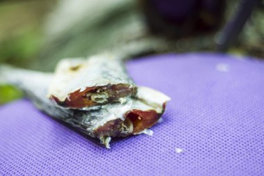 şenlik ateşi, kamp ateşi yaz ormandaki