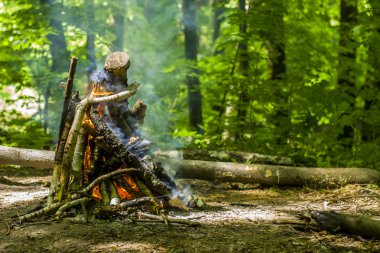 şenlik ateşi, kamp ateşi yaz ormandaki