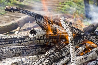 şenlik ateşi, kamp ateşi yaz ormandaki