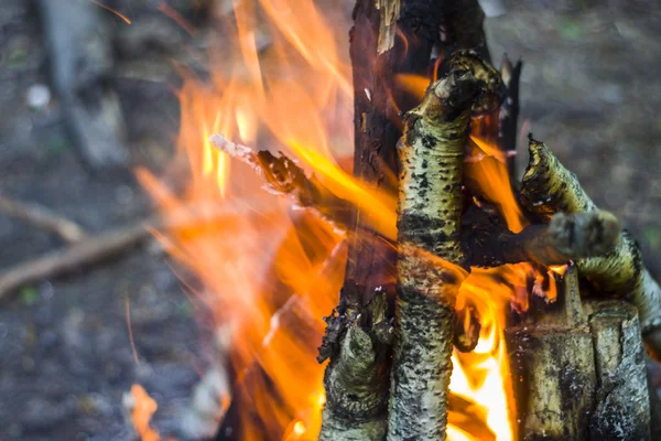 Lagerfeuer, Lagerfeuer im Sommerwald — Stockfoto