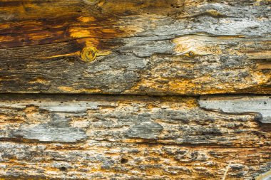 Sfondo legno marrone