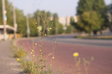 Yol parça arka plan bulanık seyahat