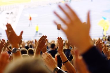 Bir futbol maçında tribünlerde kutluyor fan