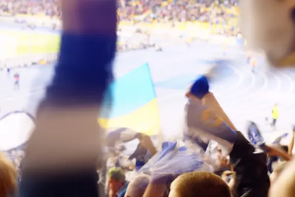 Fan celebrando en las gradas en un partido de fútbol —  Fotos de Stock