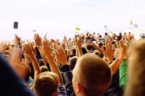 Вентилятор празднует на трибунах на футбольном матче
