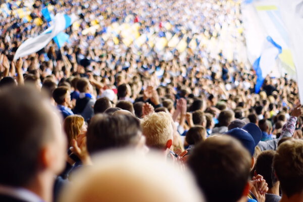 Fan celebrating in the stands at an football game