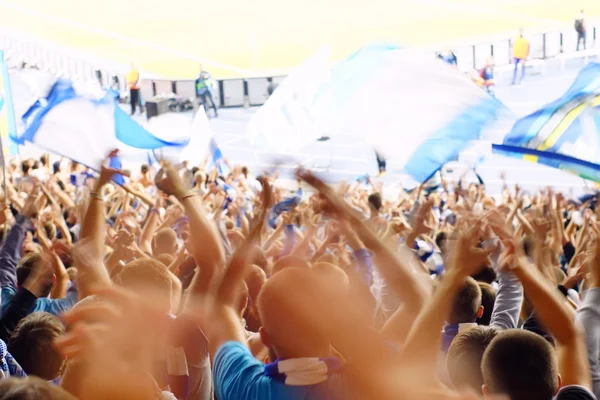Fan celebrando en las gradas en un partido de fútbol —  Fotos de Stock