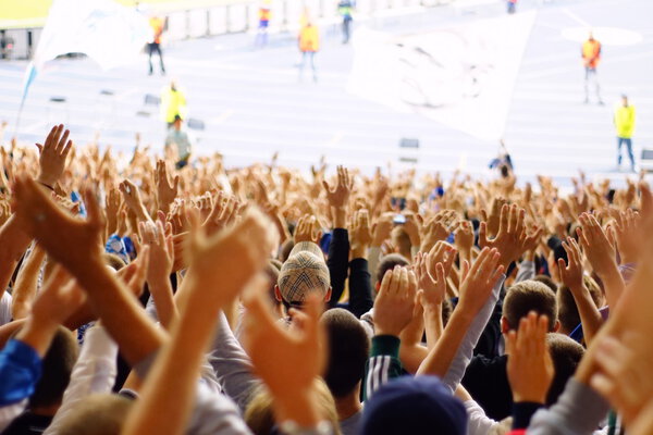 Fan celebrating in the stands at an football game