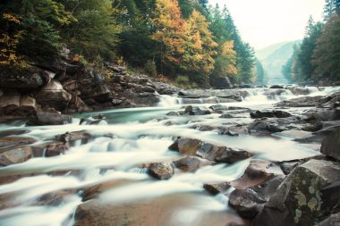 Şelale ve köprü Ukrayna, Jaremcha ile sonbahar dağ nehir manzarası