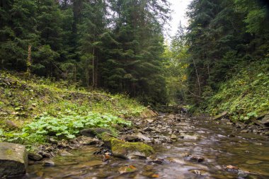 Şelale ve köprü Ukrayna, Jaremcha ile sonbahar dağ nehir manzarası