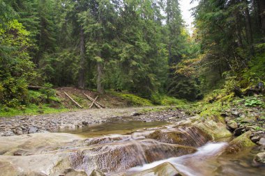 Şelale ve köprü Ukrayna, Jaremcha ile sonbahar dağ nehir manzarası