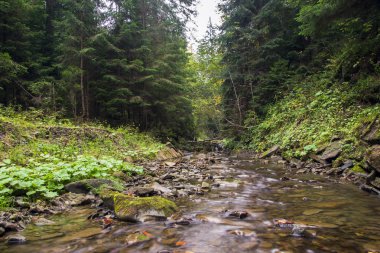 Şelale ve köprü Ukrayna, Jaremcha ile sonbahar dağ nehir manzarası