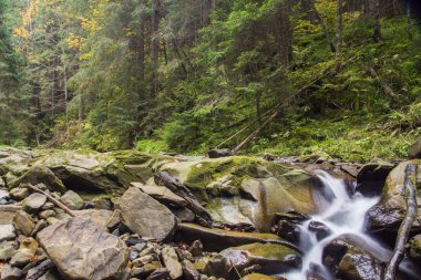 Şelale ve köprü Ukrayna, Jaremcha ile sonbahar dağ nehir manzarası