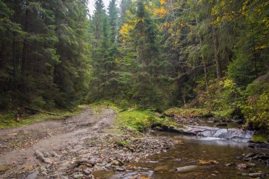 Şelale ve köprü Ukrayna, Jaremcha ile sonbahar dağ nehir manzarası