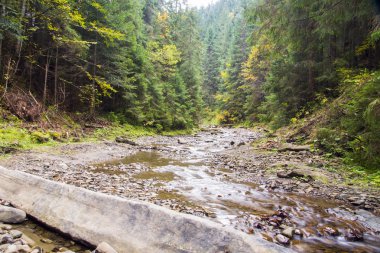 Şelale ve köprü Ukrayna, Jaremcha ile sonbahar dağ nehir manzarası