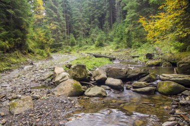 Şelale ve köprü Ukrayna, Jaremcha ile sonbahar dağ nehir manzarası