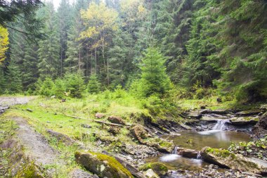 Şelale ve köprü Ukrayna, Jaremcha ile sonbahar dağ nehir manzarası