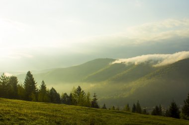 Ukrayna Karpat Dağları'nın sonbahar görünümü,