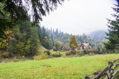Ukrayna Karpat Dağları'nın sonbahar görünümü,