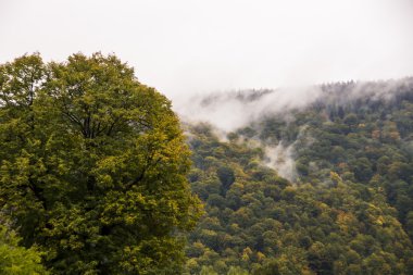 Sonbahar sis. Dağ köyü. Karpatlar, Ukrayna, Europe