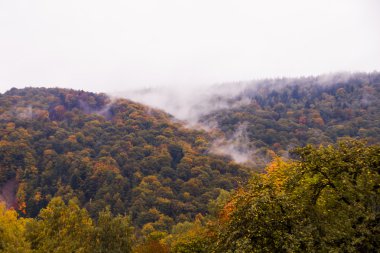 Sonbahar sis. Dağ köyü. Karpatlar, Ukrayna, Europe