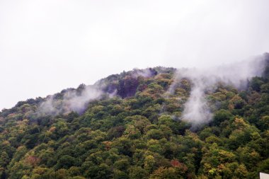 Sonbahar sis. Dağ köyü. Karpatlar, Ukrayna, Europe