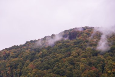 Sonbahar sis. Dağ köyü. Karpatlar, Ukrayna, Europe