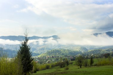 Sonbahar sis. Dağ köyü. Karpatlar, Ukrayna, Europe