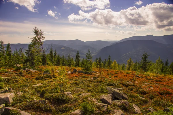 Otoño Vista de las montañas de los Cárpatos de Ucrania , — Foto de Stock