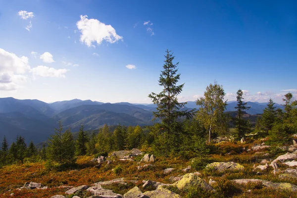 Otoño Vista de las montañas de los Cárpatos de Ucrania , — Foto de Stock