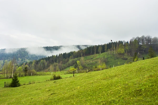 Vue d'automne des montagnes des Carpates ukrainiennes , — Photo