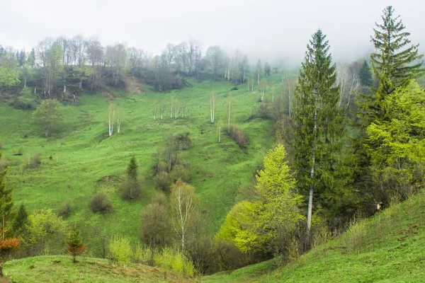 Ukrayna Karpat Dağları'nın sonbahar görünümü, — Stok fotoğraf