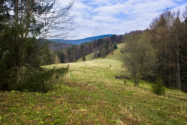 Jesienny widok ukraińskich Karpat, — Zdjęcie stockowe