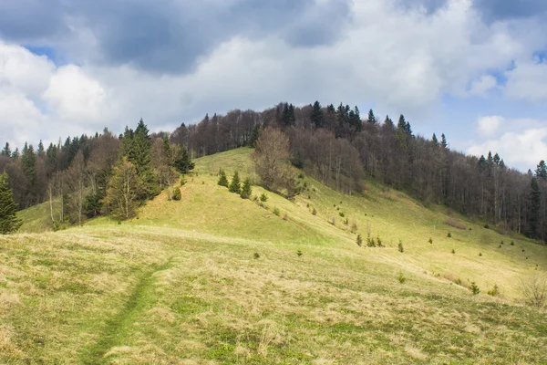 Vue d'automne des montagnes des Carpates ukrainiennes , — Photo