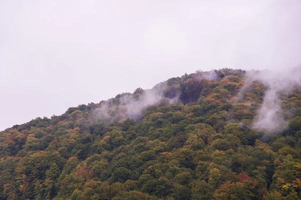 Névoa de outono. Aldeia montesa. Cárpatos, Ucrânia, Europa — Fotografia de Stock