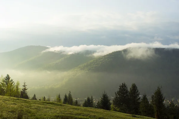 Осінній туман. Гірському селі. Карпати, Україна, Європа — стокове фото