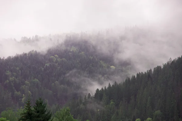 Herbstnebel. Bergdorf. Karpaten, Ukraine, Europa — Stockfoto