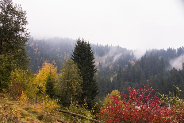 Herbstnebel. Bergdorf. Karpaten, Ukraine, Europa — Stockfoto