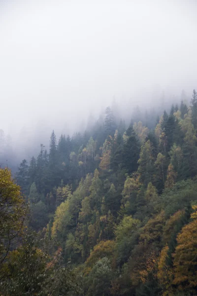 Herfst nevel. Bergdorp. Karpaten, Oekraïne, Europa — Stockfoto