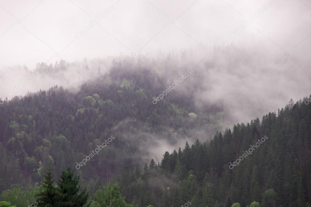 Autumn mist. Mountain village. Carpathians, Ukraine, Europe