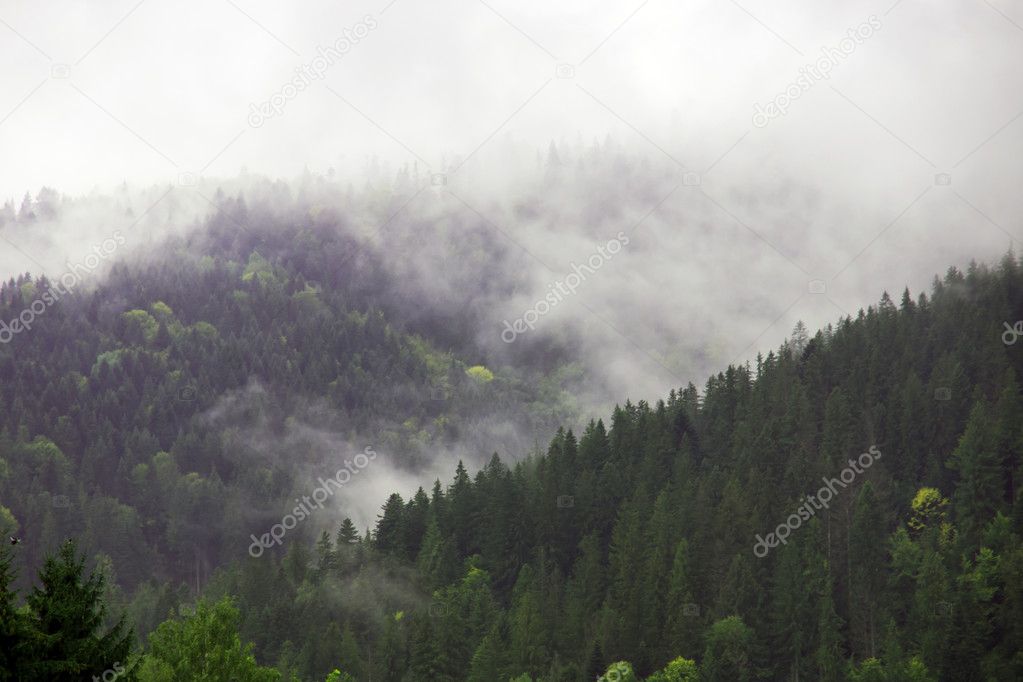 Autumn mist. Mountain village. Carpathians, Ukraine, Europe