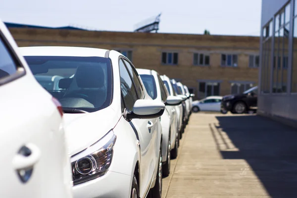 Parkování u nových automobilů — Stock fotografie