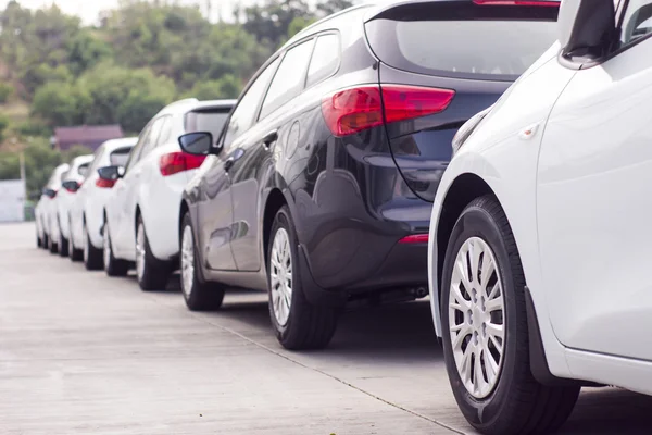 Parking of new cars — Stock Photo, Image