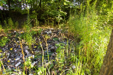 Ormanın ortasında bir çöplük.