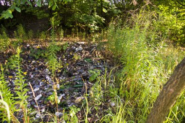 Ormanın ortasında bir çöplük.