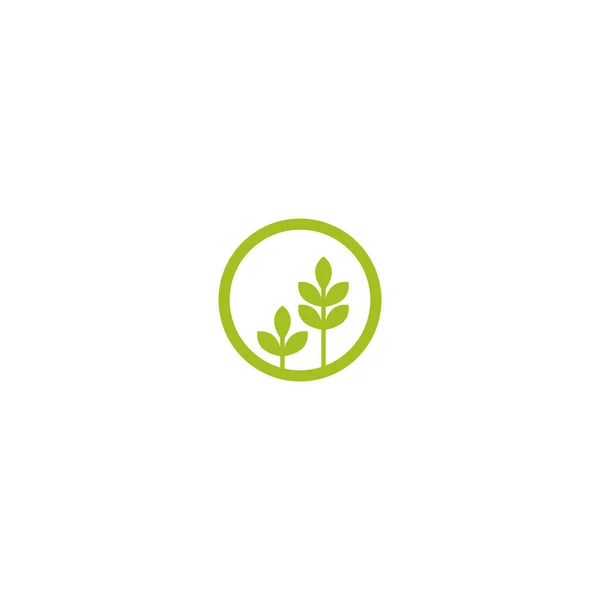 Vegano Etiqueta Producto Vegetal Hojas Verdes Icono Del Círculo Logo — Vector de stock