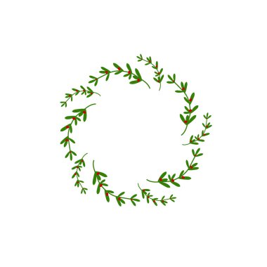 Omela 'nın ökseotu dallı çelengi. Noel çelengi tebrik kartları için iyidir. Kış tatil vektör illüstrasyonu beyaza izole edildi